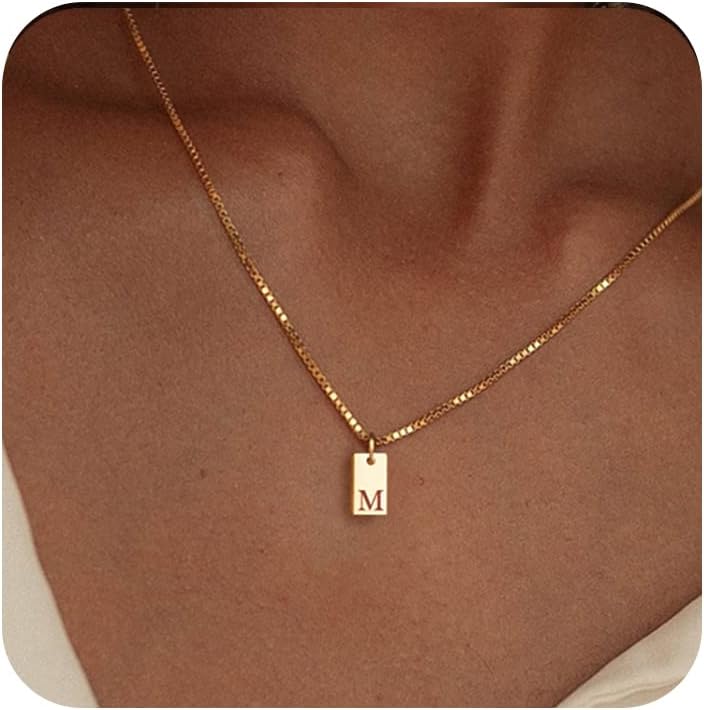 Personalized Initial Necklace: 14K Gold Plated Dainty Letter Name Pendant for Women, Custom Tag Jewelry
