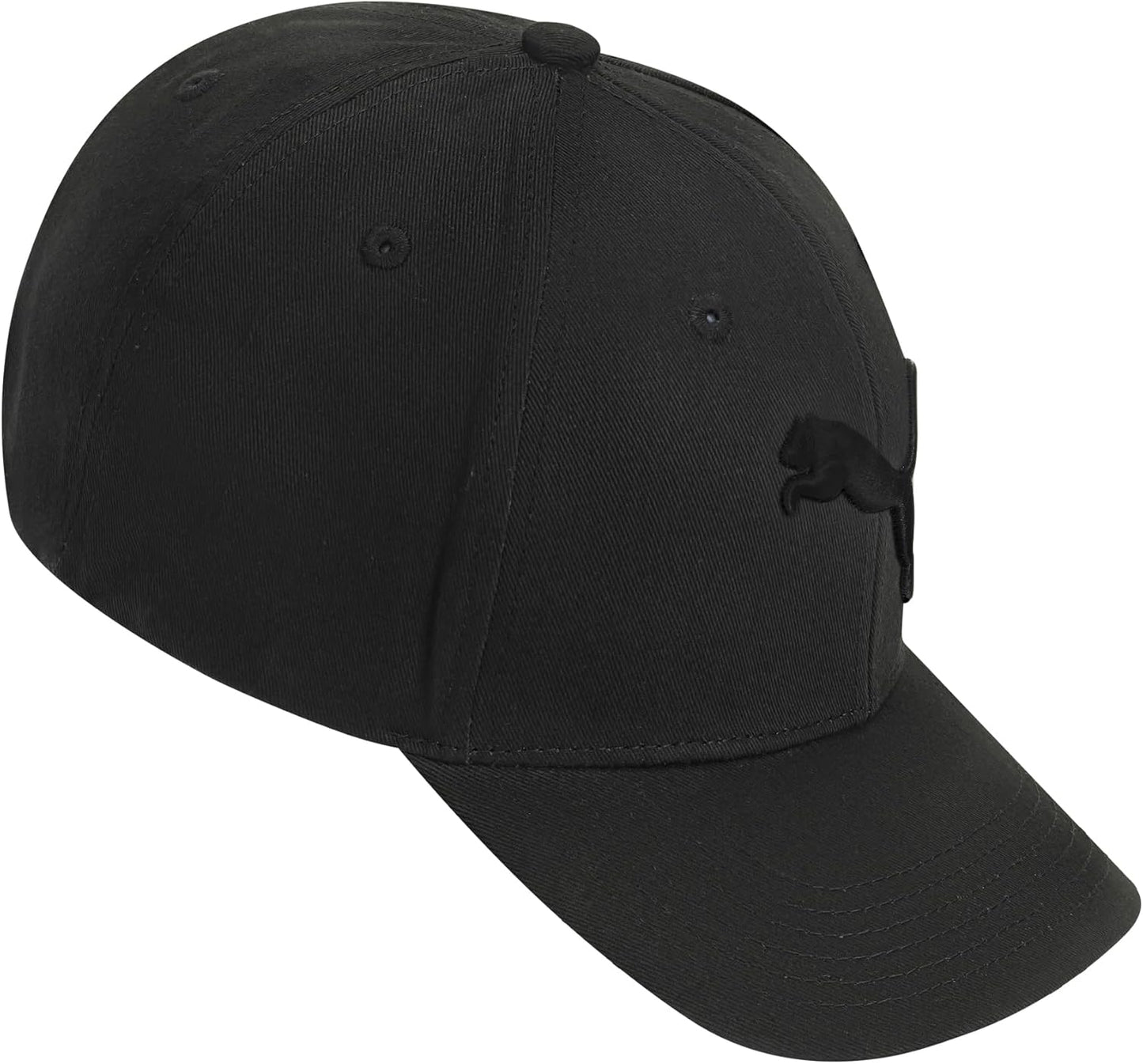 Mens  Icon Snapback Cap
