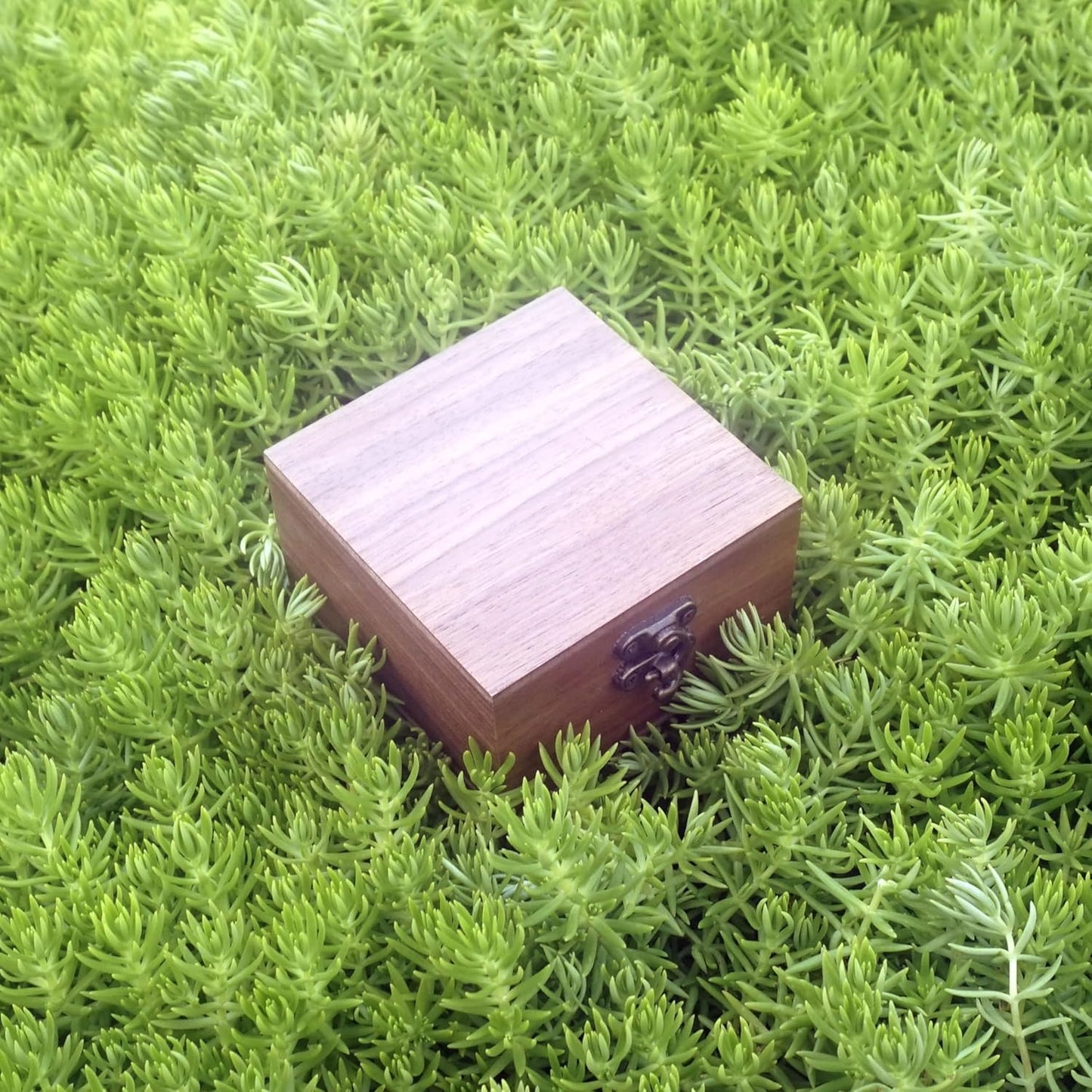 Walnut Wood Box for Crafts, Jewelry Box and watch box Wooden Keepsake Box Gift